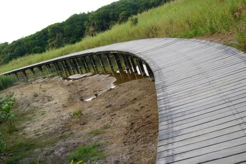 Path in wetland Foto stock