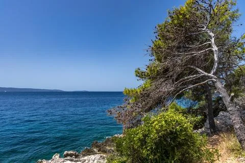 The path to the wild beach of Vela i Mala Draga on the coast of the island .. Stock Photos