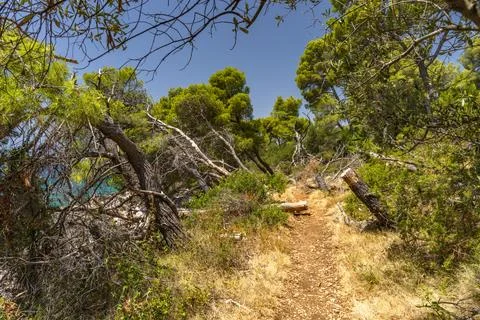 The path to the wild beach of Vela i Mala Draga on the coast of the island .. Stock Photos