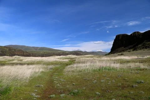 A path winding through a grassy high desert landscape with cliffs Stock Photos