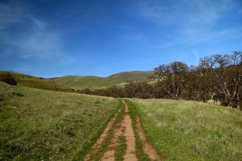 A path winding through green grassy hills with a blue sky above Stock Photos