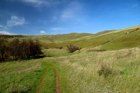 A path winding through green grassy hills with a blue sky above Stock Photos
