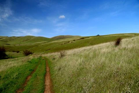 A path winding through green grassy hills with a blue sky above Stock Photos