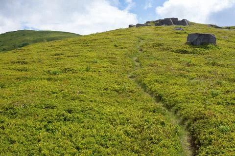 Path winding uphill Stock Photos