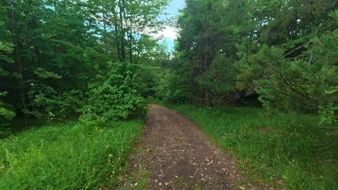 Path winds gently through green forest edge. Kozji Kamen area, Serbia 스톡 동영상 341876114