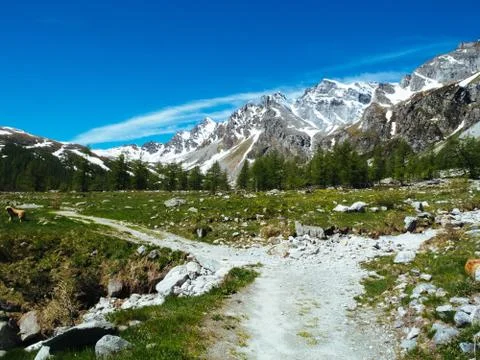 Path that winds through the alpine meadows of Alpe devero, Alpi Lepontine, su Stock Photos