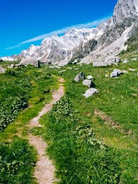 Path that winds through the alpine meadows of Alpe devero, Alpi Lepontine, su Stock Photos