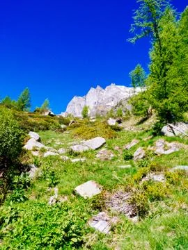 Path that winds through the alpine meadows of Alpe devero, Alpi Lepontine, su Stock Photos