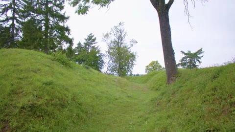 A path winds through green grassy hills and the woods under pale overcast sky. Stock Footage 305109283