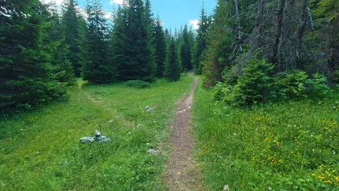 Path winds through lush green meadow. Hiking Trail, Durmitor Vídeos de archivo 342976055