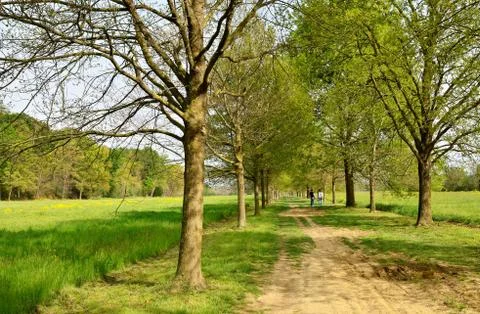 The path winds through the park between meadows and trees Stock Photos