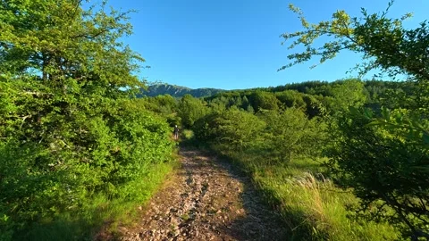 Path winds through thick green shrubs. Kozji Kamen hiking path, Serbia 스톡 동영상 342341867