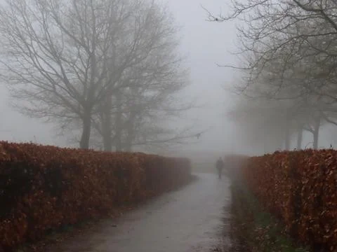 Path in winter fog Stock Photos