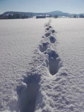 Path winter landscape Stock Photos