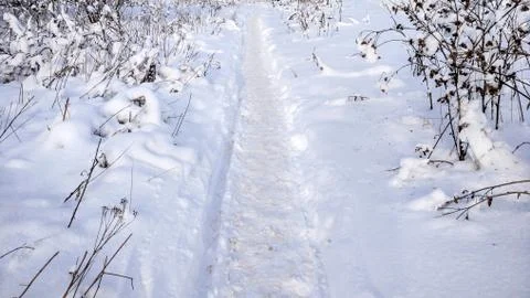 The path in the winter in the open air in the park. Snow-covered road in the Stock-Fotos