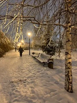 A path in the winter park in the evening. snow-covered benches stand next t.. Stock Photos