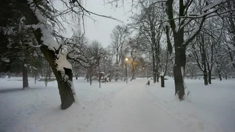 On the path in the winter park Stock Footage 228753896