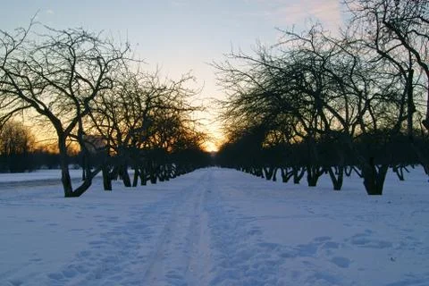 Path in winter park Stock Photos