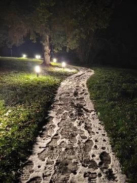 A path in a winter park Stock Photos