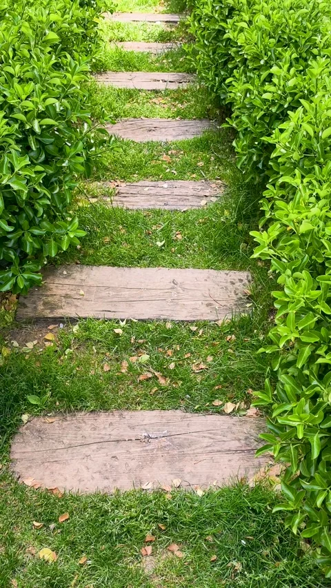 Path of wooden steps through green grass in a garden during springtime view Stock Footage 335826169