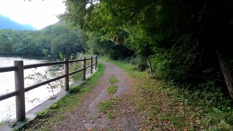 Path in the woods Stock Footage 145857096
