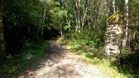 Path in the woods Stock Footage 145857293