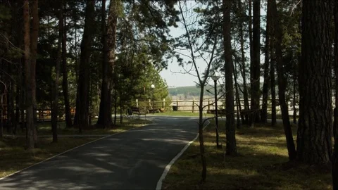 Path in the woods leads to the sea Stock Footage 75837601