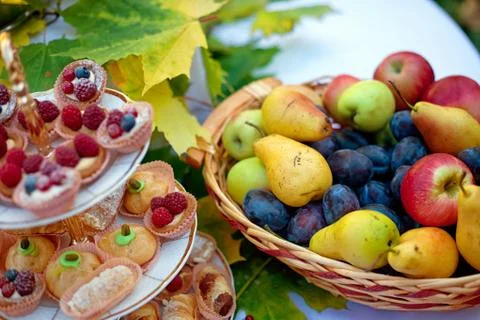 Path in the woods lined with boards Stock Photos