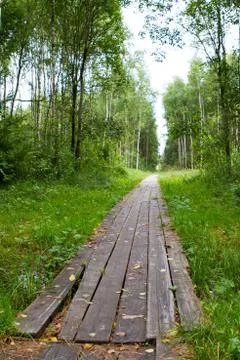 Path in the woods lined with boards Stock Photos