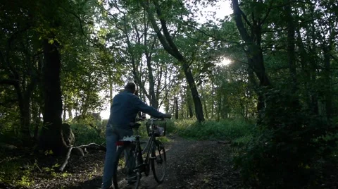 Path in woods with man walking a bicycle Stock Footage 55049040