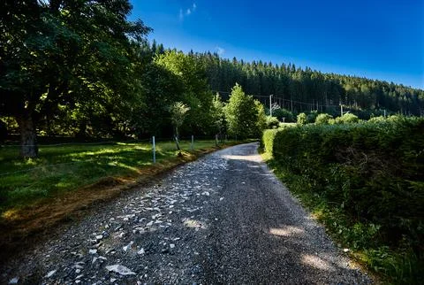 A path in the woods Stock Photos