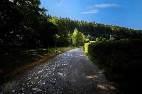 A path in the woods Stock Photos