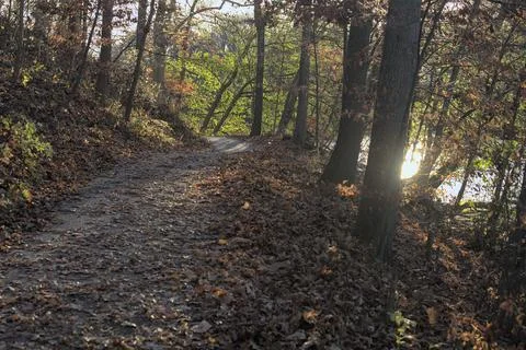 Path In The Woods Stock-Fotos