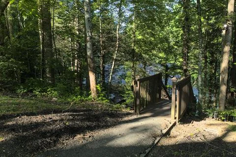 Path in the Woods Stock Photos