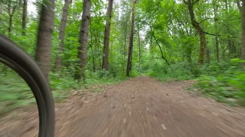 Path in the woods.Fast ride on a bike. Stockbeeldmateriaal 76837048