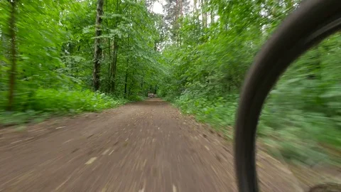 Path in the woods.Fast ride on a bike. Stockbeeldmateriaal 76837461