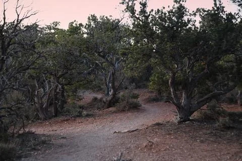 Path at Yaki Point Stock Photos