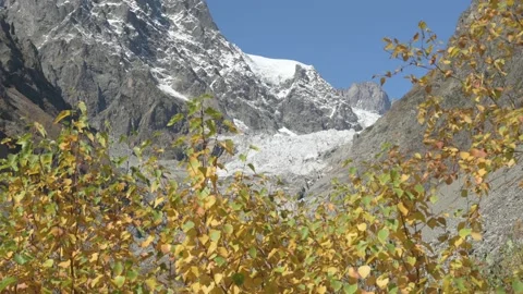Path in yellow leaf on foothills of snowy Caucasus mountains in Georgia. Stock Footage 132019539