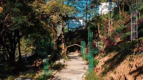 A path with a yellow line on it leads to a garden with cacti and flowers Stock Photos