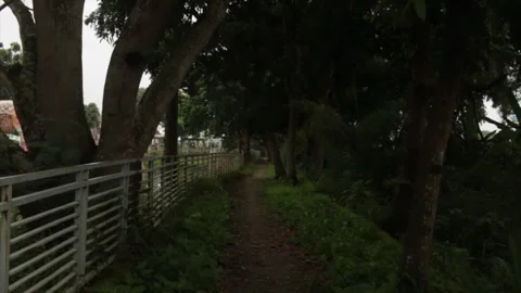 Pathaway in small village Stock Footage 319921438