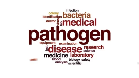 Pathogen animated word cloud, text design animation. Video stock 71943877