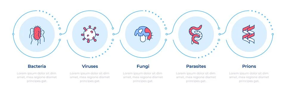 Pathogen classification types infographic 5 steps 库存插图