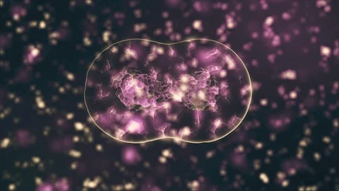 Pathogen of coronavirus 2019-nCov inside infected organism illustrated as brown Stock Footage 127221431