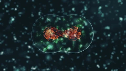 Pathogen of coronavirus 2019-nCov inside infected organism illustrated as brown Stock Footage 128838156