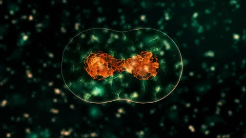 Pathogen of coronavirus 2019-nCov inside infected organism presented as blue Stock Footage 129284316