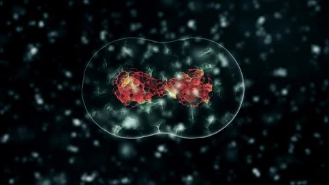 Pathogen of coronavirus 2019-nCov inside infected organism illustrated as yellow Stock Footage 129719871