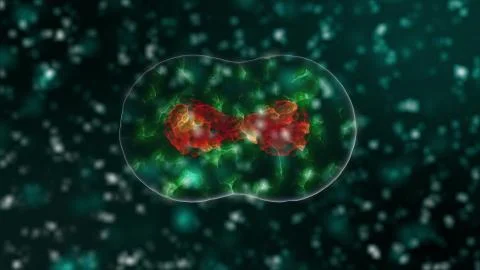 Pathogen of coronavirus 2019-nCov inside infected organism under microscope as Illustrazione stock