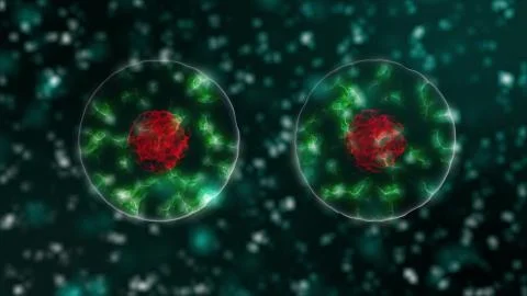 Pathogen of coronavirus 2019-nCov inside infected organism under microscope as Illustrazione stock