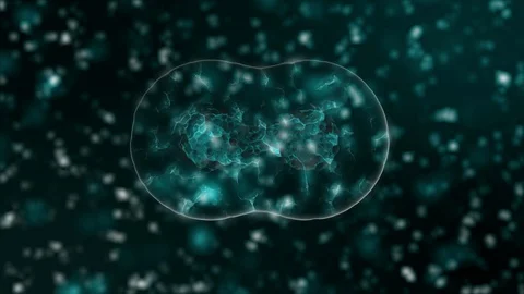 Pathogen of coronavirus 2019-nCov moves inside organism presented as green cells Stock Footage 128466526