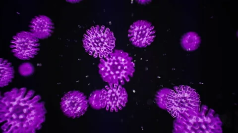 Pathogen of coronavirus covid19 inside infected organism. Virus under microscope Stock Footage 138122186